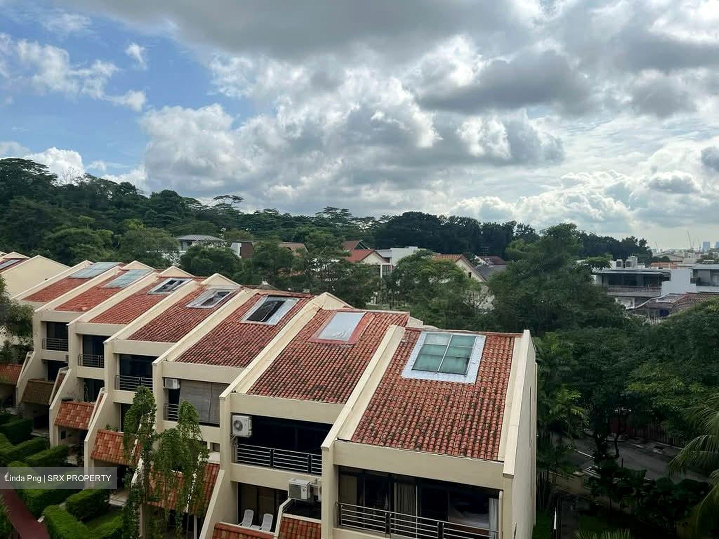 Allsworth Park (D10), Condominium #581012741